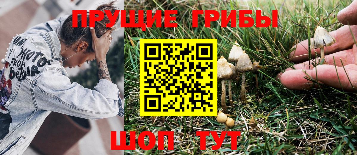 Галлюциногенные грибы Cubensis Аша