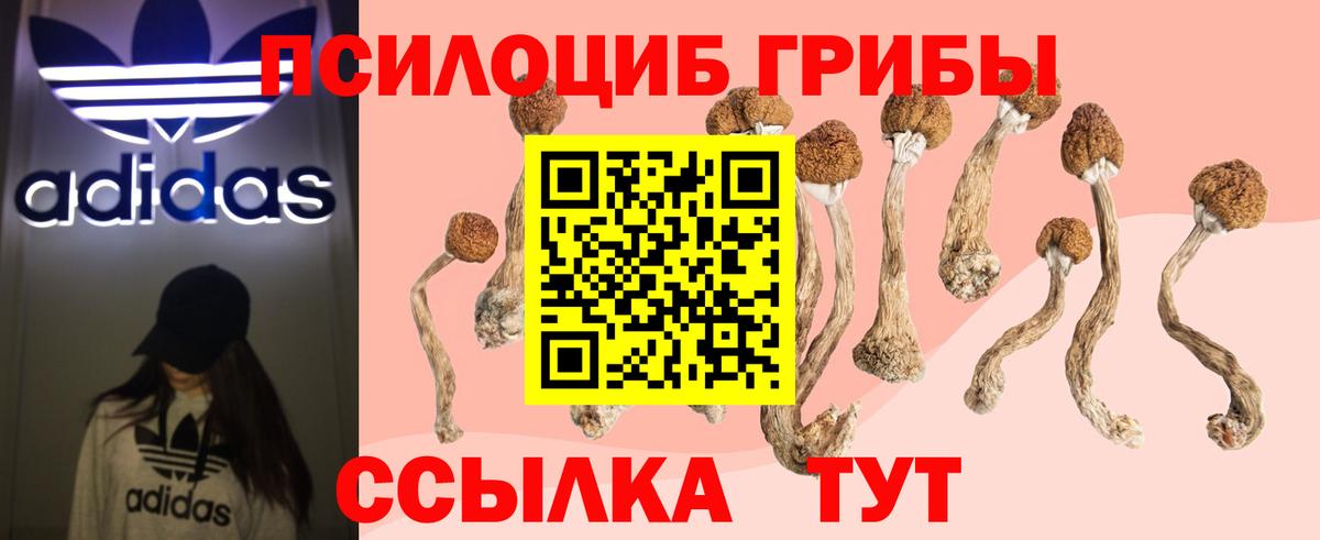 Галлюциногенные грибы ЛСД  купить   Аша  Вход с VPN 
